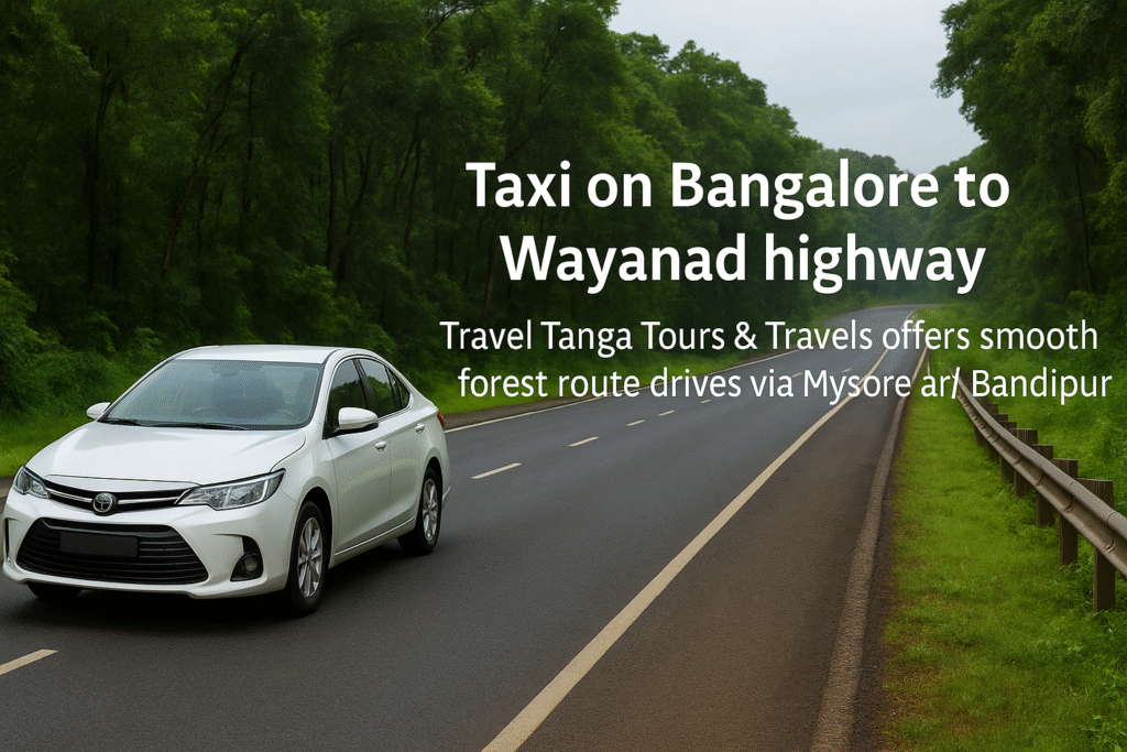 Taxi on Bangalore to Wayanad highway